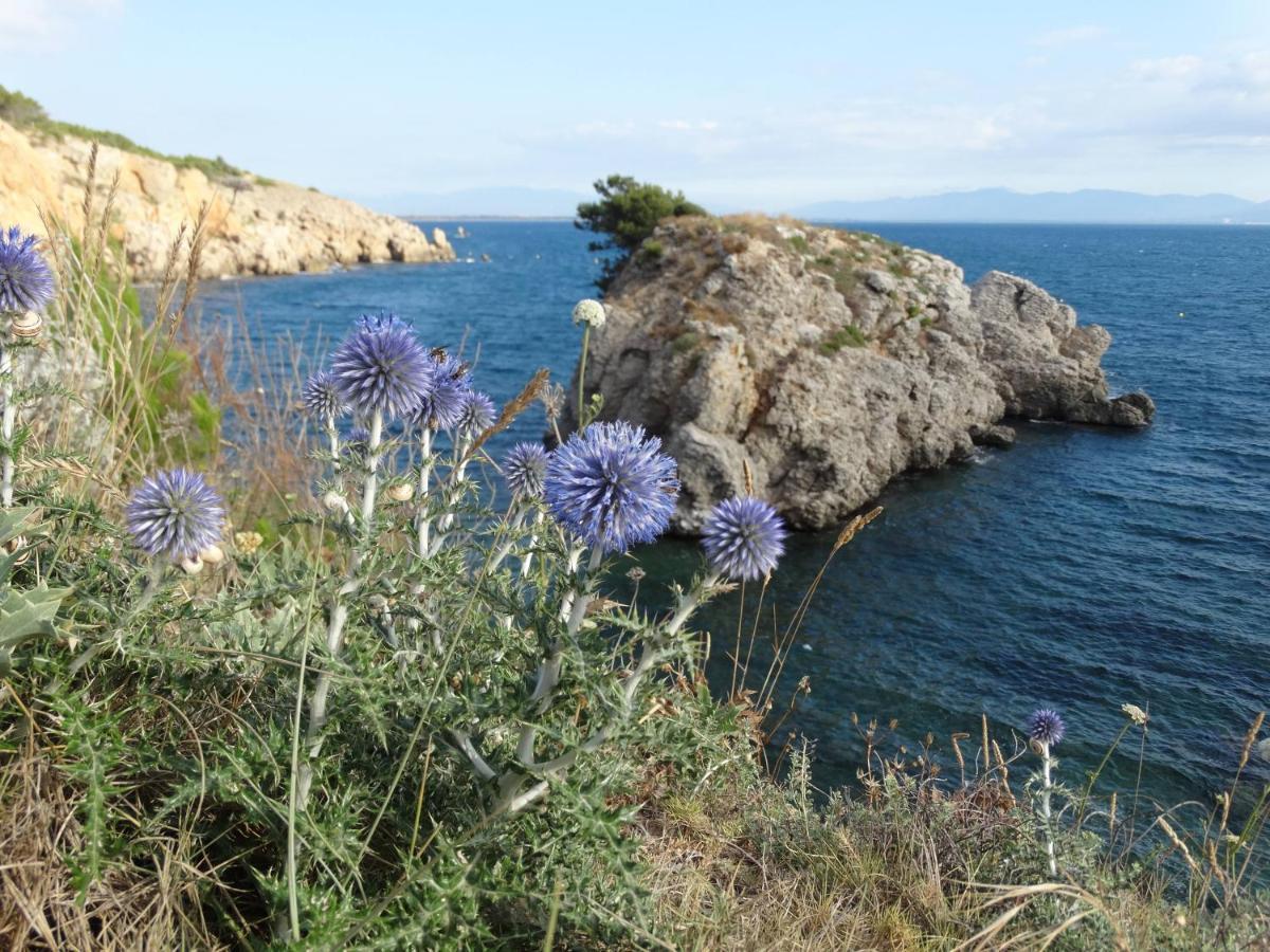 Apartamento Punta Montgo Port De Rei L' Escala Dış mekan fotoğraf